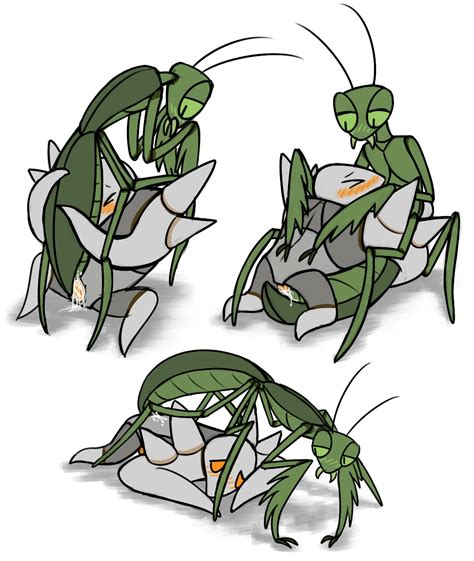 mantis rule34|Rule34 .